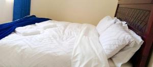 Spacious 1 bedroom at Clay city Kasarani