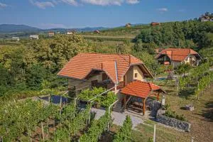 Vineyard Cottage Brodaric - Happy Rentals - Radatovići