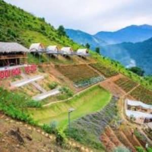 Mây Homestay - Venuestay