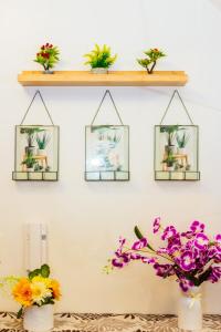 Witty Weekend retreat Quirk Cozy