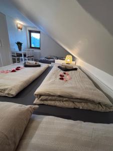 Horský domek se zahradou na Javorné u Železné Rudy