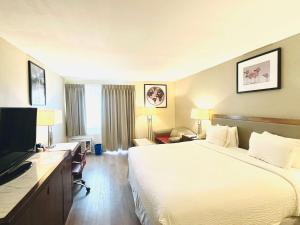 Standard King Room - Non-Smoking  room in Ramada Plaza by Wyndham Garden Grove/Anaheim South