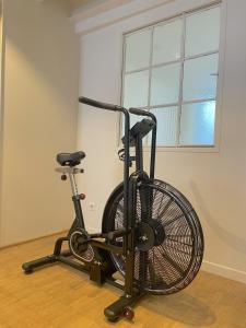 LOFT maison 5ch 5sdb 5wc Lille 200m2 avec extérieur