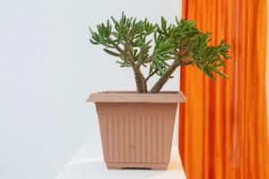 Cozy Studio Room to Rent in Johannesburg City