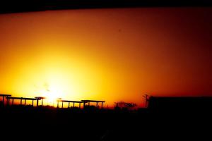 Avida Tower One Cebu city