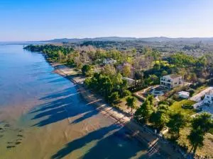 SunBreeze-Beachfront Luxury Villa 5 Bed 4 bath-Sleeps 10 - 莱夫基米