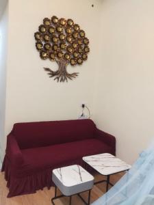 NovaShine Apartments