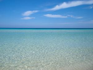 I Segreti di Antonina