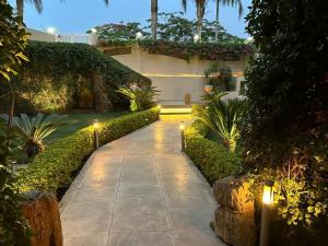 Breezy roof top studio, Choueifat, New Cairo