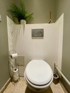 Appartements BnGo I Luxe & Confort I Lyon centre, 4 personnes, toilette separe, Place des terreaux : photos des chambres