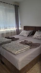 Stan Na Dan Central Park