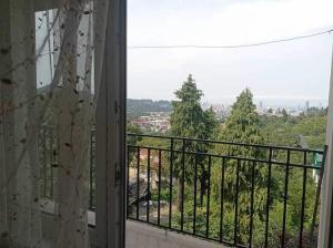 მთის და ზღვის სავანე