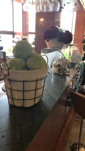 Hotel President Scornicesti