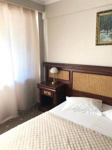 Hotel President Scornicesti