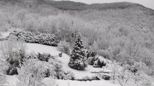 Maisons de vacances Gite le Marmare : photos des chambres