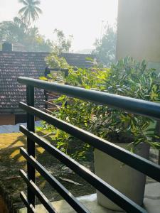 Jithu homestay Mirissa