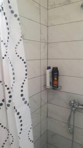 Loutsa Finikounta, 1room Apartment on the beach