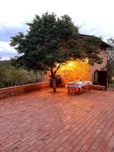 Country home in the Chiantishire close to Florence - Capannuccia