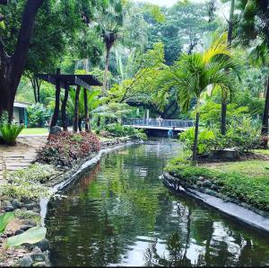 Greenbelt with Wifi, Pool and Gym