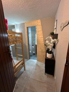 Appartements Studio au pied des pistes avec acces prive par son balcon : photos des chambres