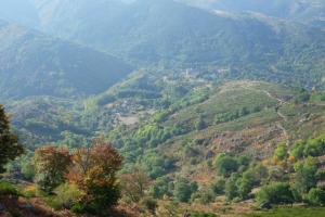 Maisons de vacances Gite le Suquet - en pleine nature : photos des chambres