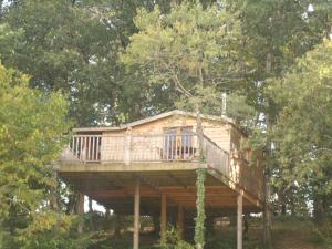 Cabane dans les arbres à la ferme