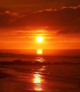 Studio Amor op het gelijkvloers met tuintje nabij strand
