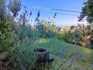 Podere Casato 2 Hills View, Pool, Wifi Tuscany