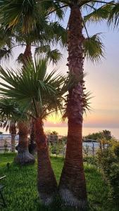 Villa Jolanda - Costa degli Dei