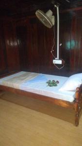 Thriphala ayurveda resort