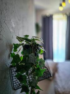 Cozy Homez-Palace of Parliament by CHR Luxury Property