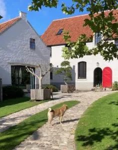 English Bob - Boutersem