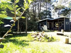 Connection to Nature - 罗恰