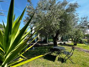Maisons de vacances Tout Arrive ! - Situee sur le Chenal de la Greve : photos des chambres
