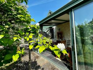 Maisons de vacances Tout Arrive ! - Situee sur le Chenal de la Greve : photos des chambres