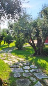 Villa Bice in Versilia