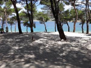 CAMP ADRIATIC PITCHES -Primošten