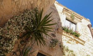 Superior Studio room in B&B Demetra Appartamenti
