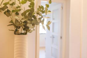 Bravissimo Palau Firal, near parc La Devesa