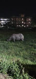 Hotel Tigers Den - Peace Home, Family