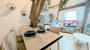 Cocon Centre ville Auxerre Cosy - 维尔法格