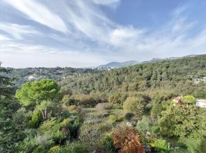 Maisons de vacances Village house surrounded by greenery : photos des chambres