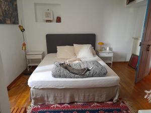 Maisons de vacances Village house surrounded by greenery : photos des chambres