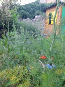 Maisons de vacances Village house surrounded by greenery : Maison 3 Chambres 