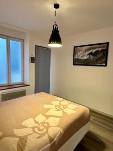 Appartement calme au cœur de la ville