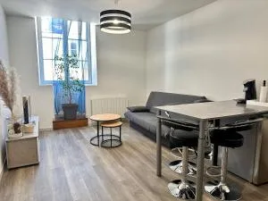 Appartement calme au cœur de la ville - 希勒尔