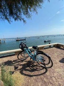 Appartements Appartement au Bord de l-eau vue Bassin d-Arcachon et Port : photos des chambres