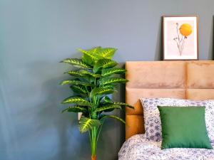 Modern Big Studio with River view, M2 Saburtalo