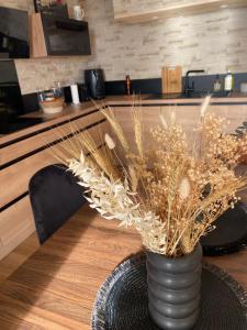 Appartements Appartement au Bord de l-eau vue Bassin d-Arcachon et Port : photos des chambres