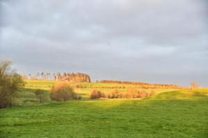 Auerhahn Ferienhäuser Auerhahn 318